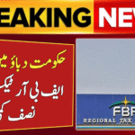 FBR Tax Return Filings
