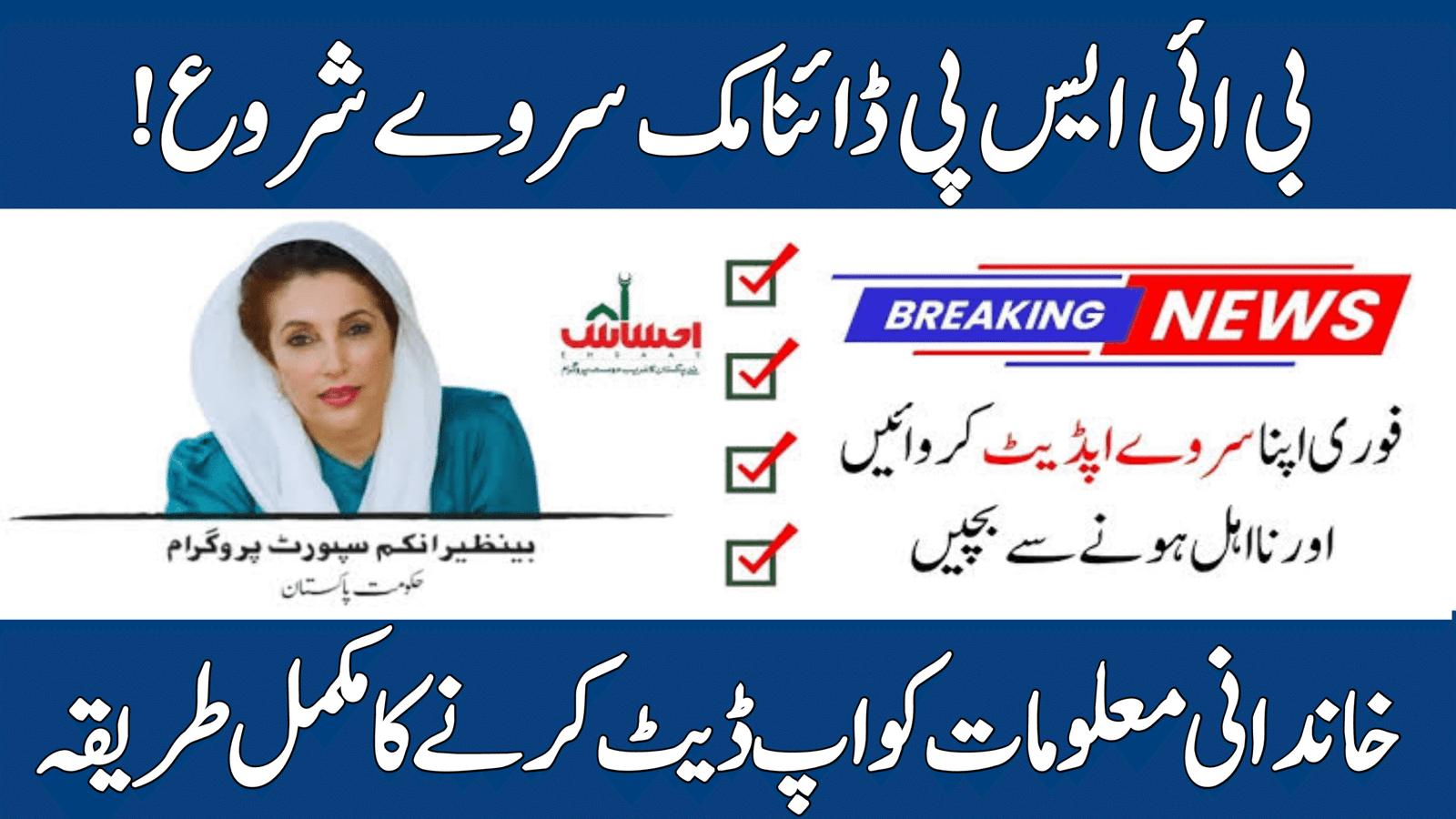 BISP Dynamic Survey