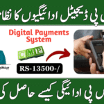 BISP 8171 Digital Payments System