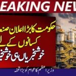 PM Shehbaz Sharif Announces Major Relief Package for Industries and Farmers