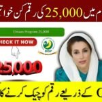 Ehsaas Program 8171 25000 CNIC Check
