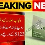 Punjab Disability Wazifa 2025 – Apply for Rs 7000 Monthly
